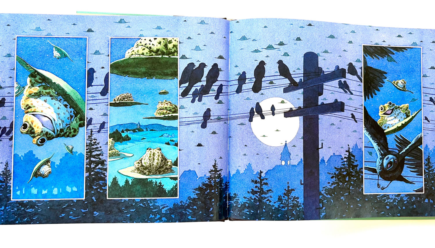 Tuesday wordless picture book page spread