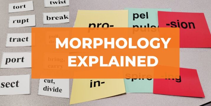 morphology explained