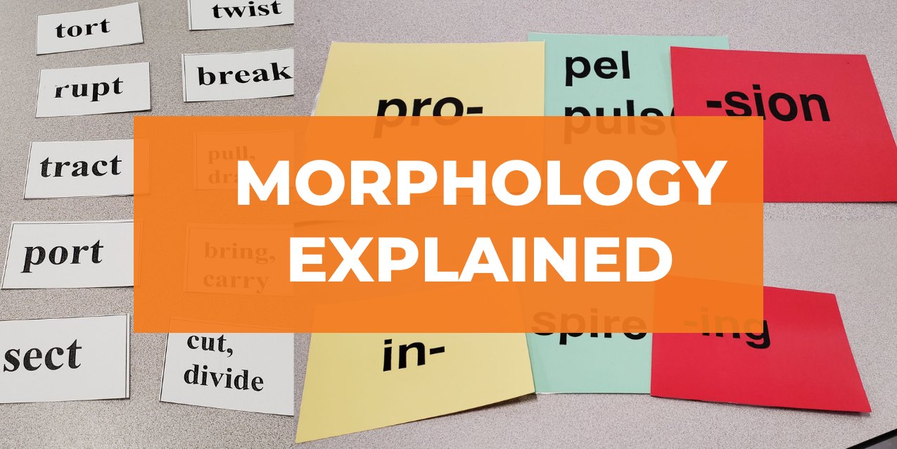 Morpho…what? Why Morphology Is Important