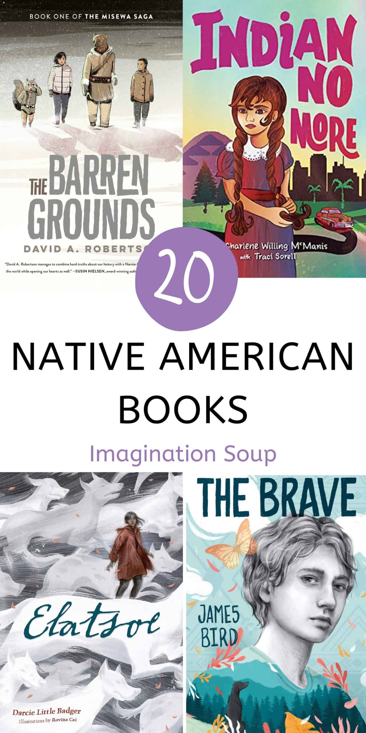 Middle Grade Native American Books 