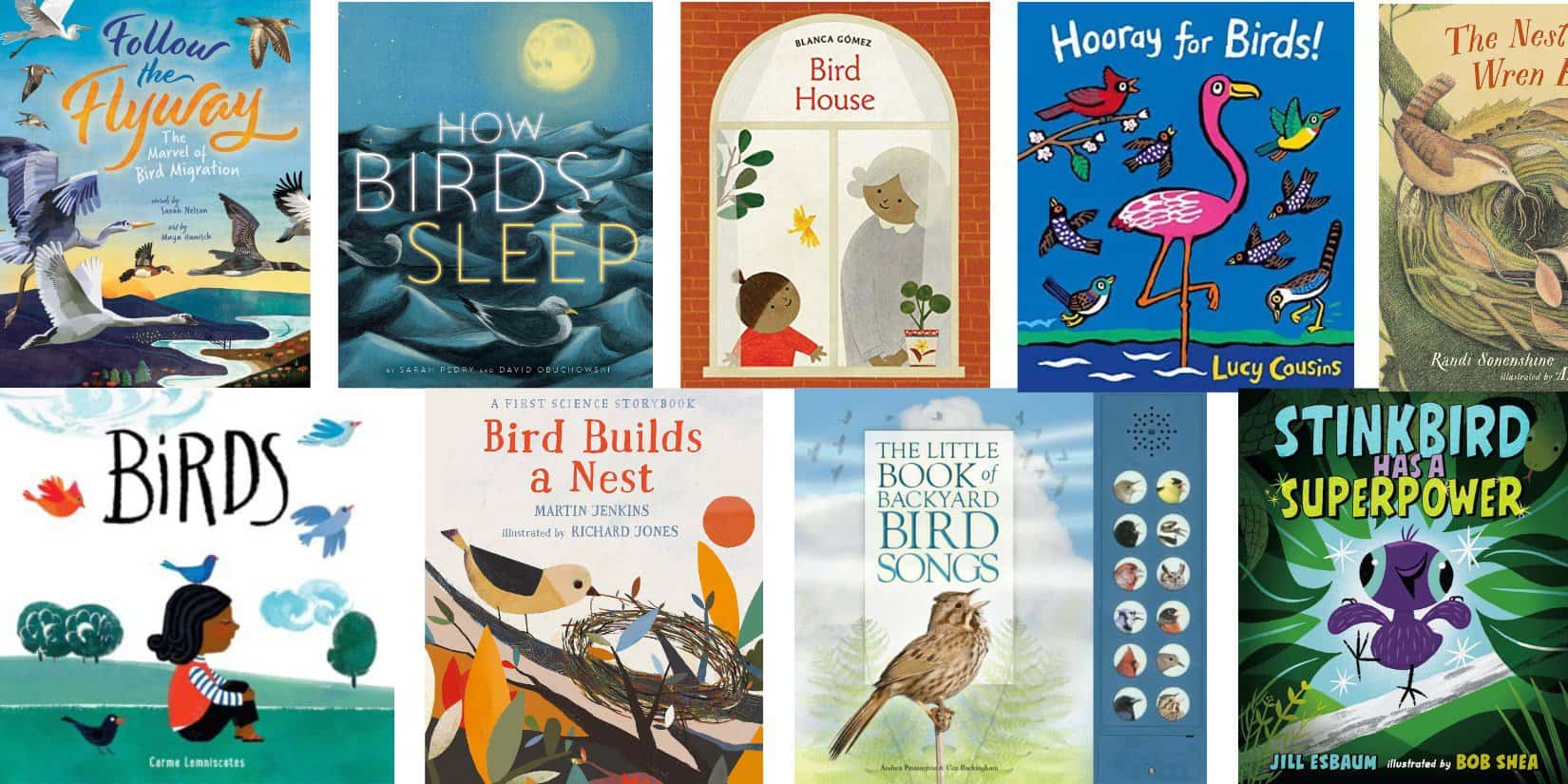 Beautiful Bird Books for Kids (To Spark an Interest in Nature)