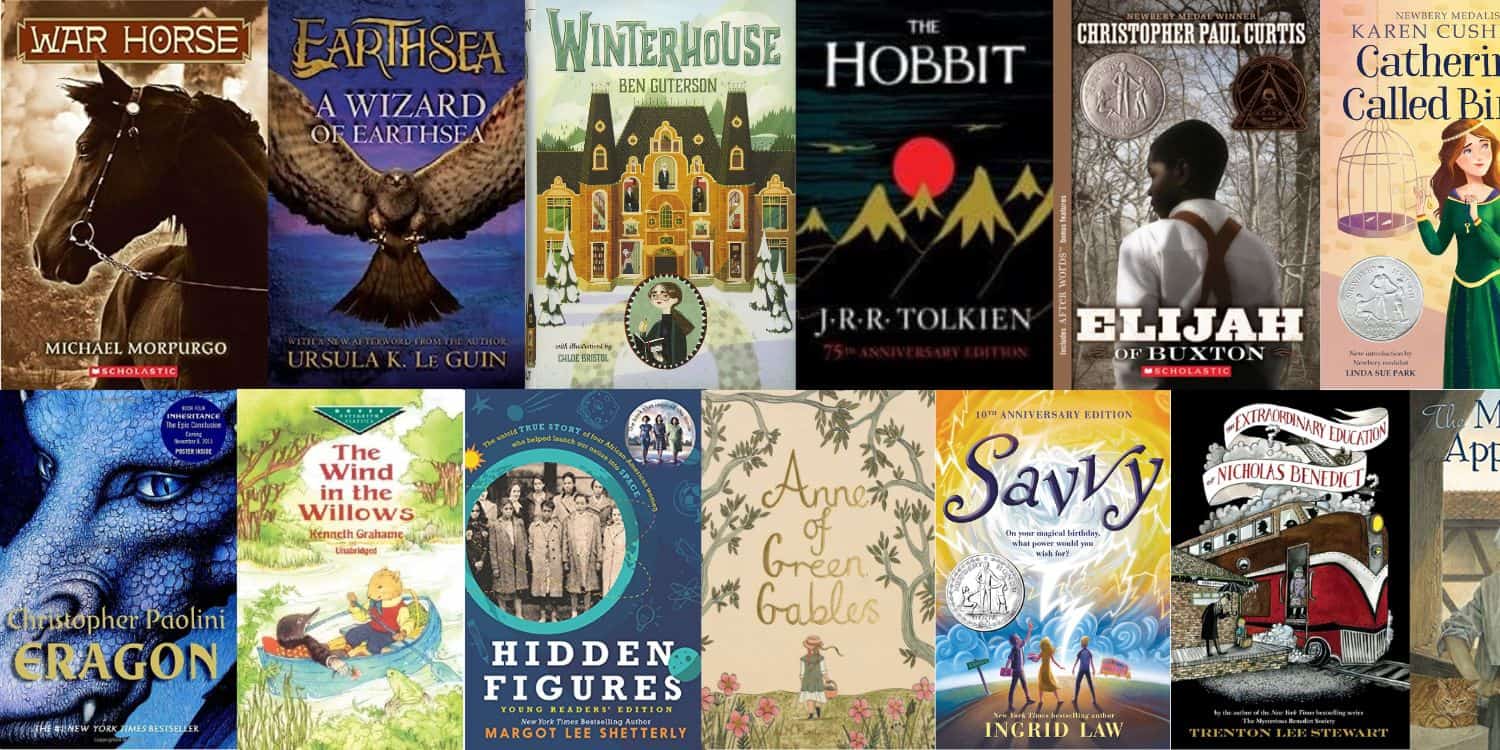Age-Appropriate Books for Young Advanced Readers
