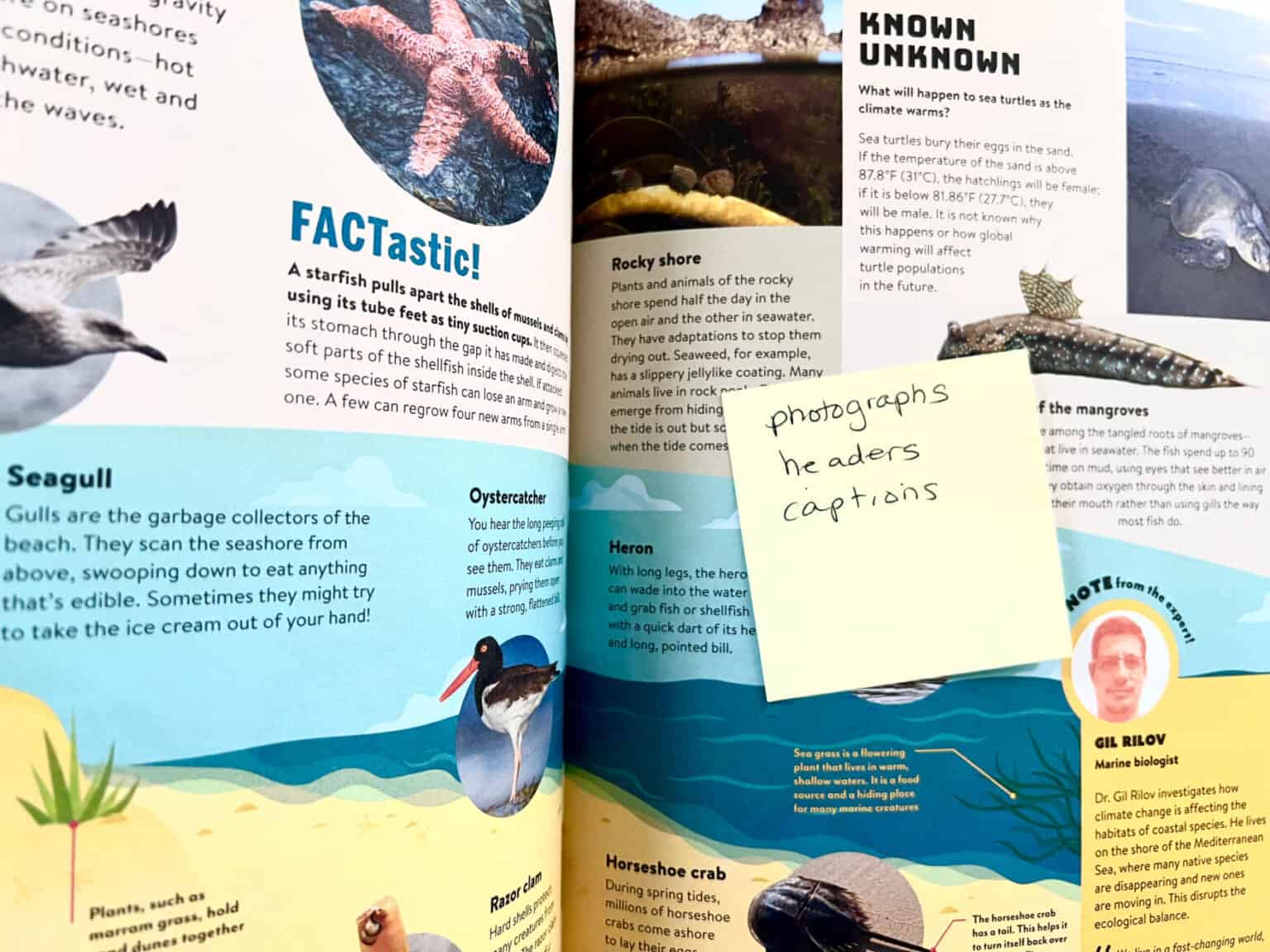 Teach Nonfiction Text Features - Imagination Soup