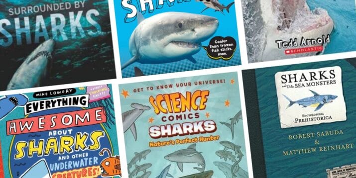 shark books for kids